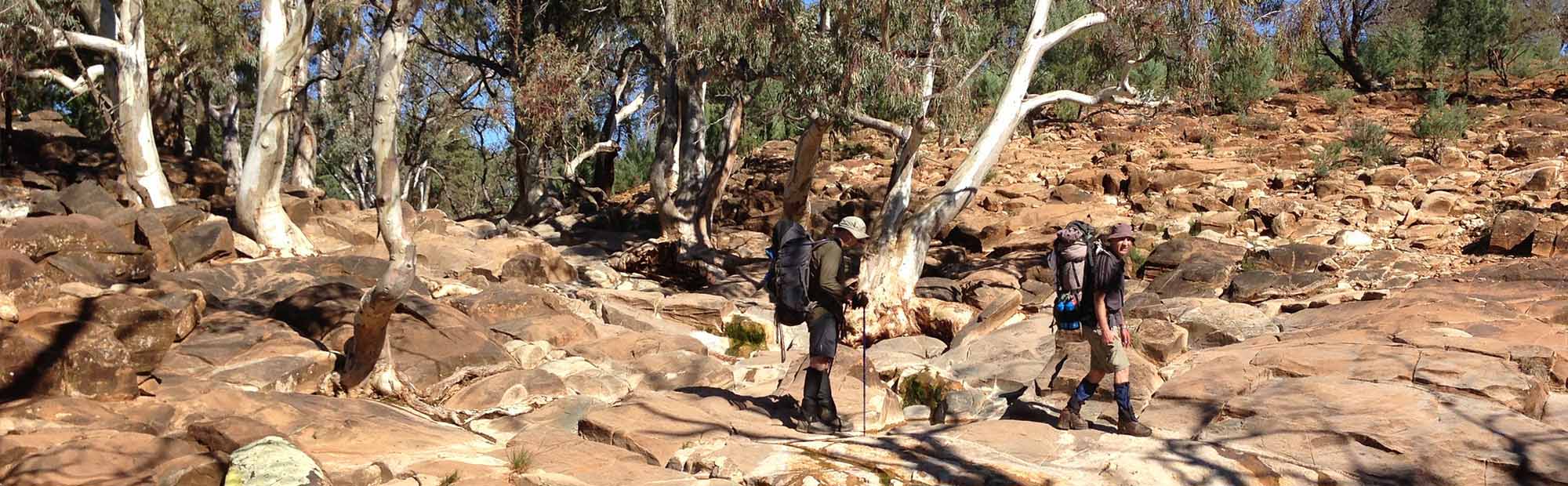 Creek gorge, the Bunkers, Flinders Ranges