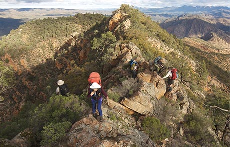 Flinders Ranges landscape