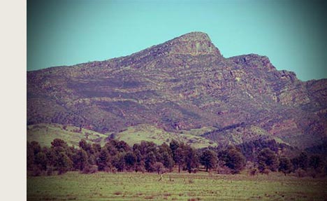 Cutting a trail to St Mary Peak