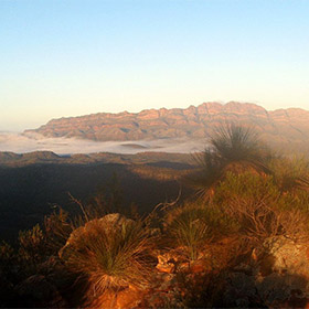 View of Mt Aleck and Elder Range from Bridle Gap