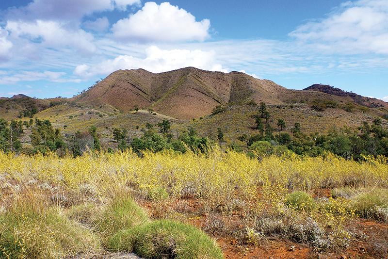 Mount Falkland near Parachilna Gorge