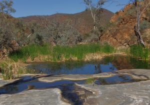 Weetootla Gorge