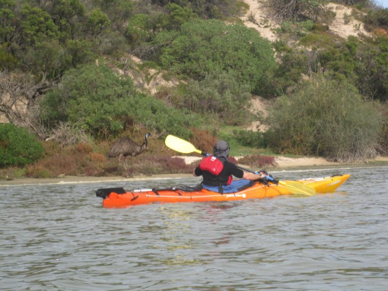 Adelaide Canoe Club Adelaide Bushwalkers