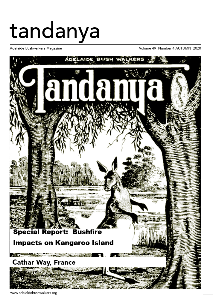 Tandanya Magazine: Autumn 2020