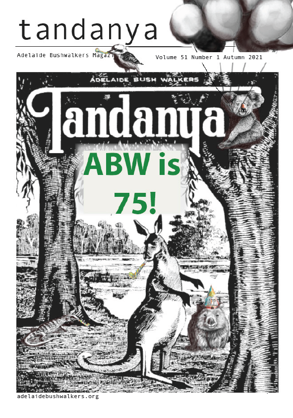 Tandanya Magazine: Autumn 2021