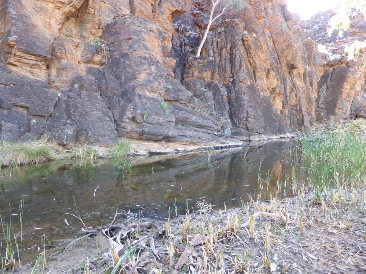 Bull Spring Umberatana
