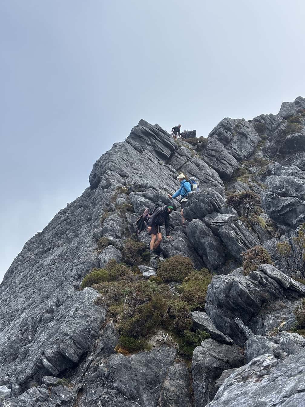 eastern arthurs Tasmania