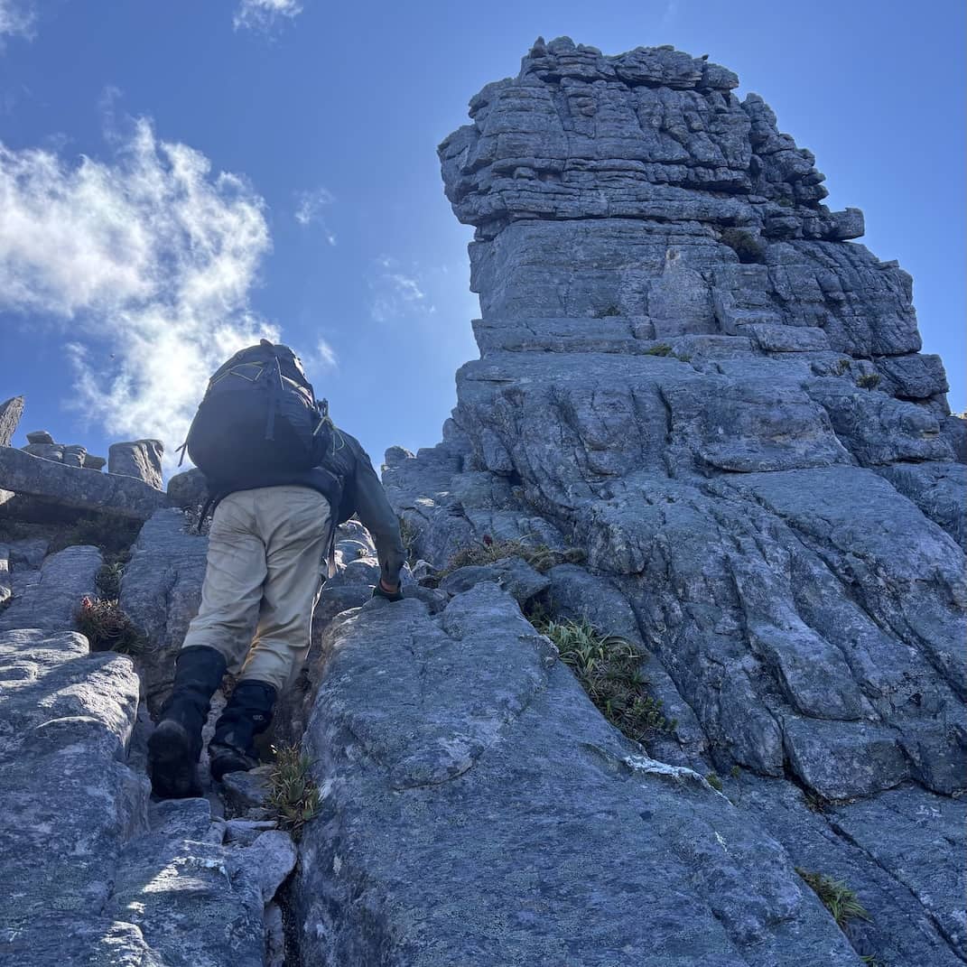 needles eastern arthurs