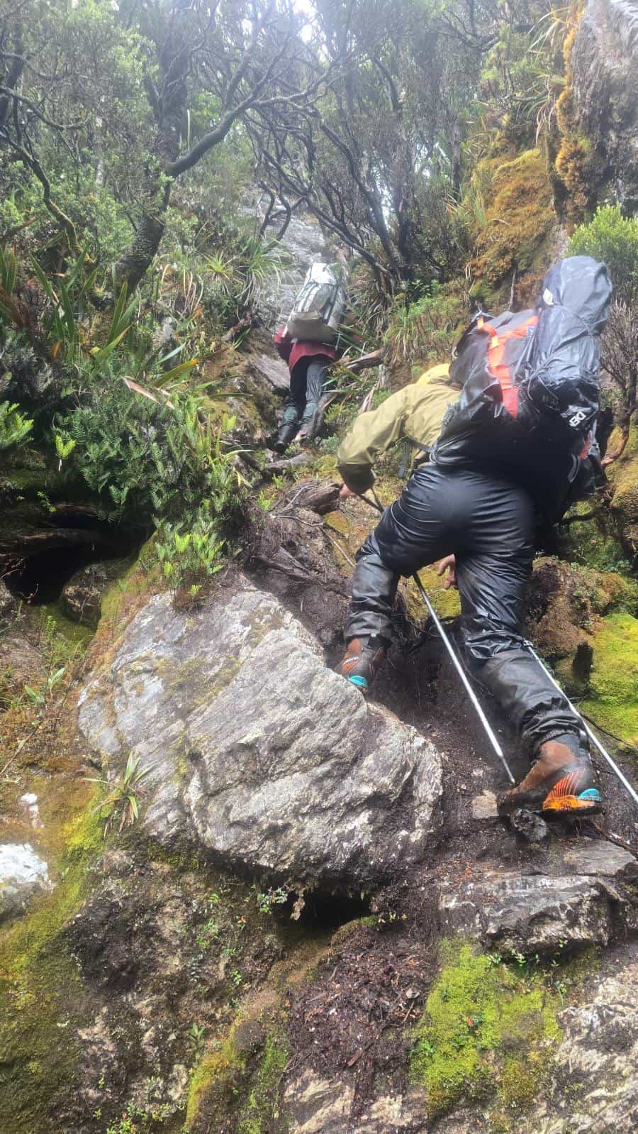 arthurs tasmania trail