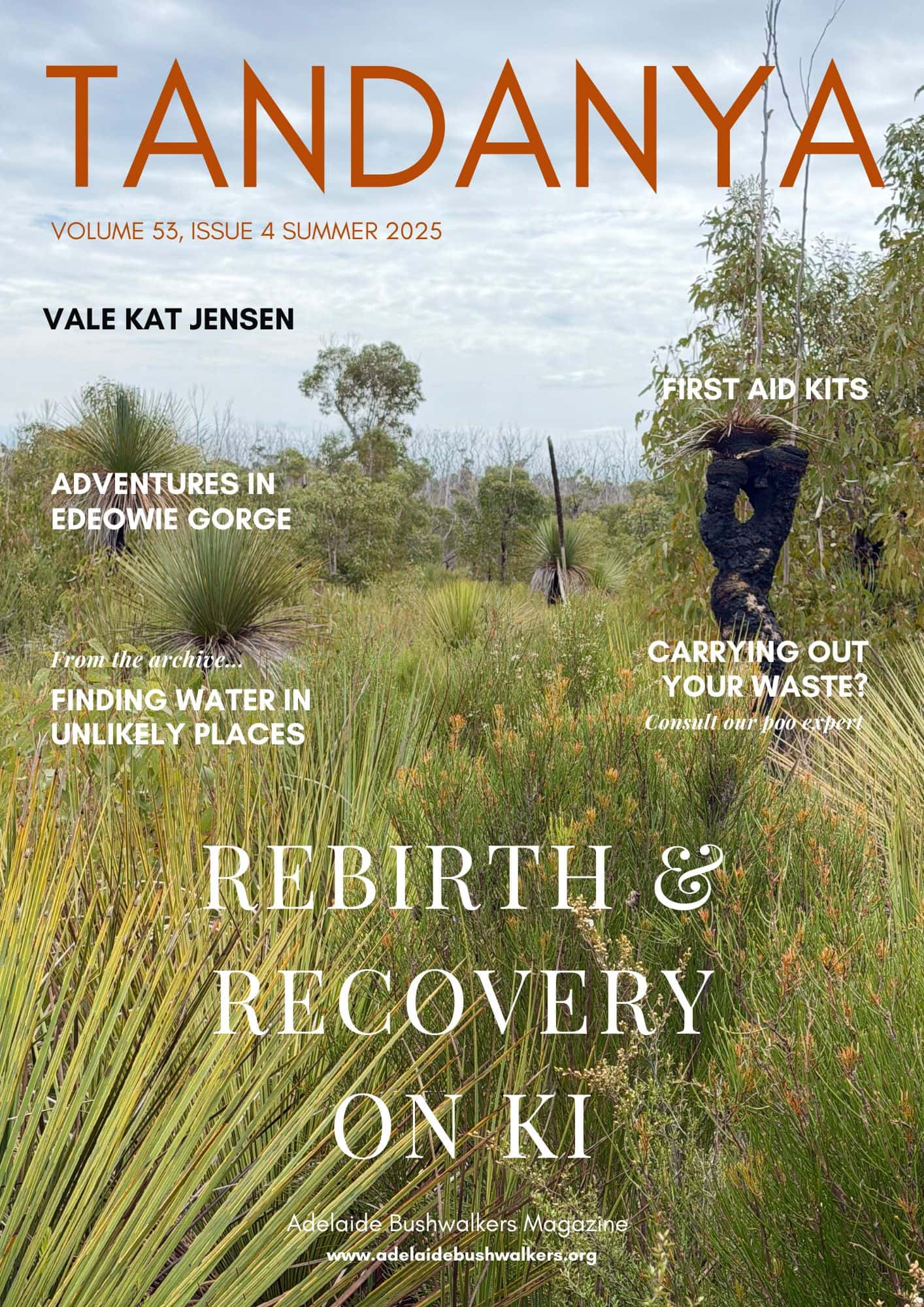 Tandanya Magazine: Summer 25