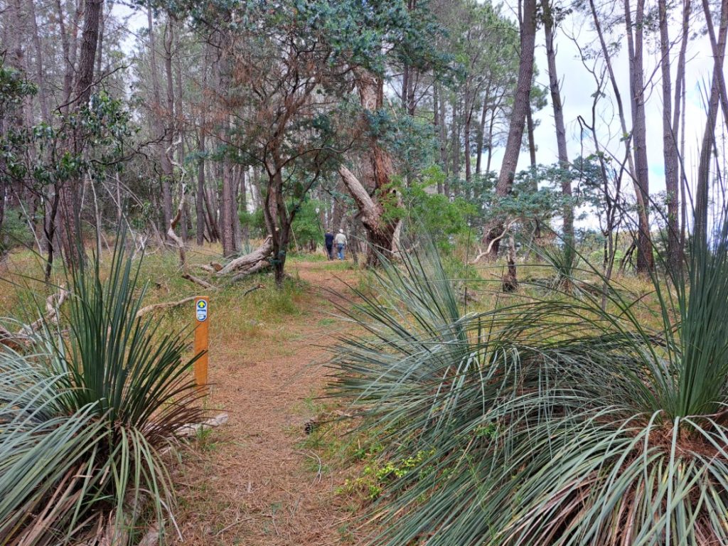 bill lindsay link trail