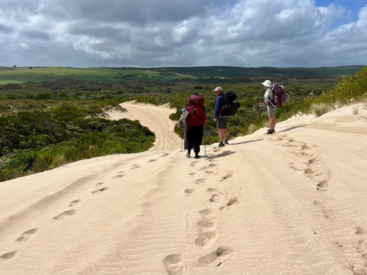 near swan lake campground