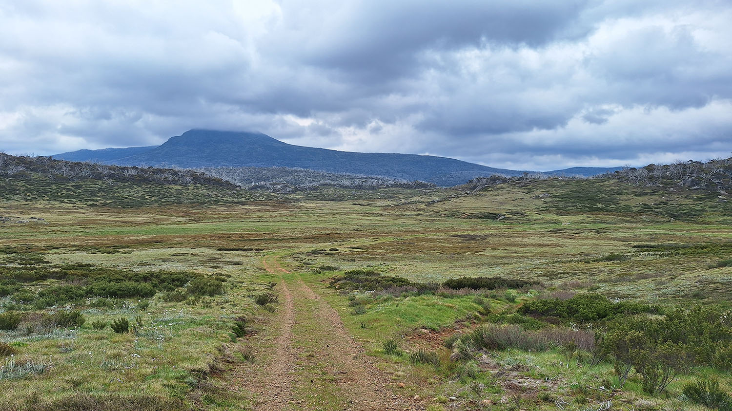 mt jagungal australian alps