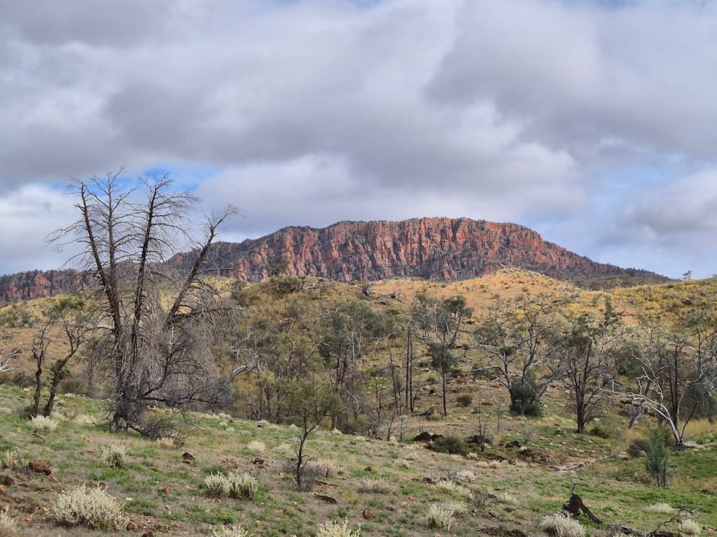 mckinlay bluff gammon ranges