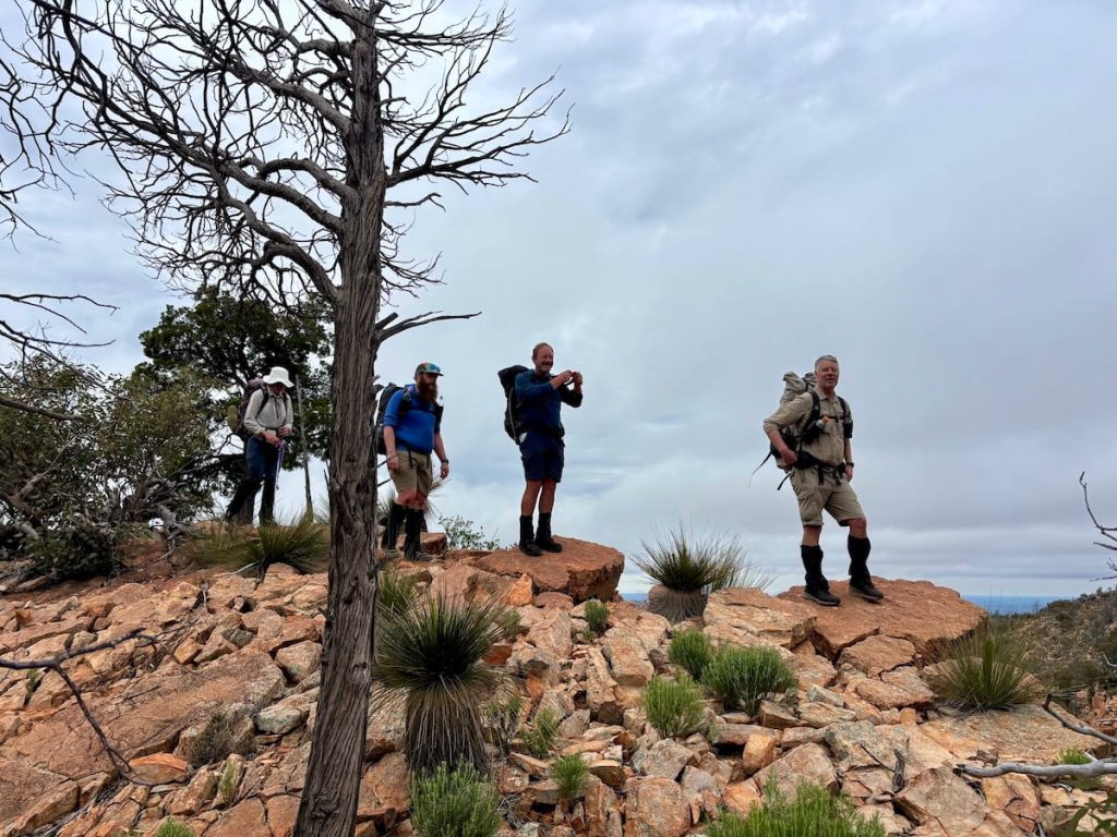 steadman ridge gammon ranges
